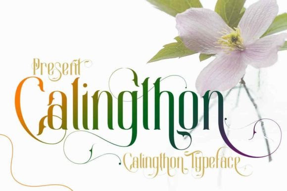 Calingthon: A Modern Calligraphy Font for Digital Branding